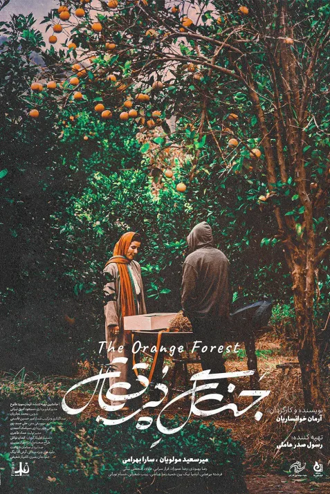 The Orange Forest