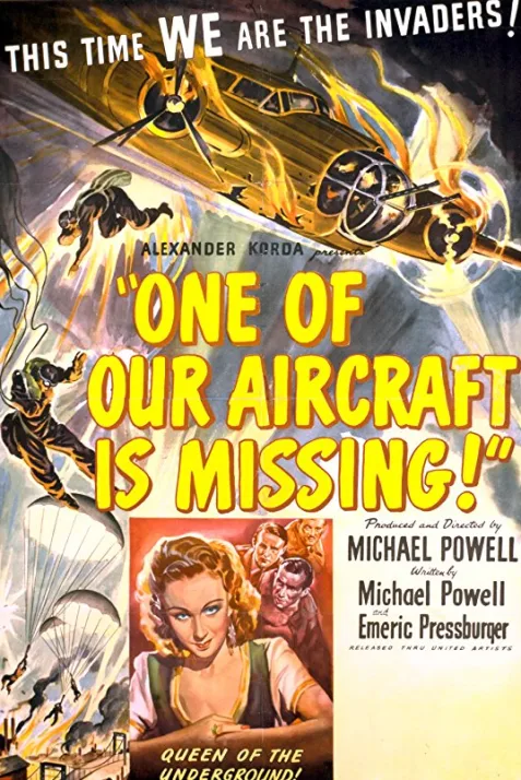 One of Our Aircraft Is Missing