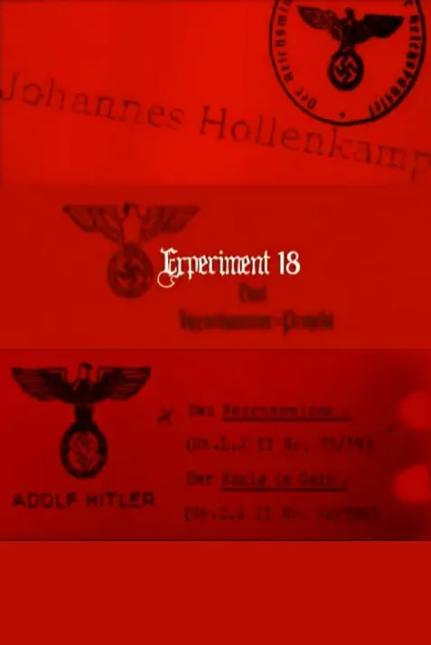 Experiment 18: Das Hexenhammer-Projekt
