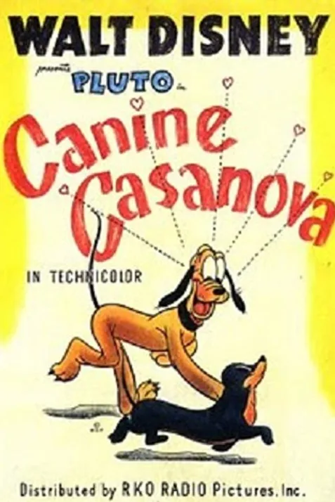 Canine Casanova