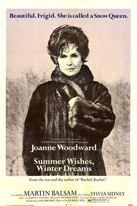 Summer Wishes, Winter Dreams