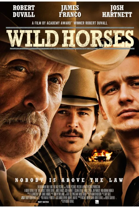 Wild Horses