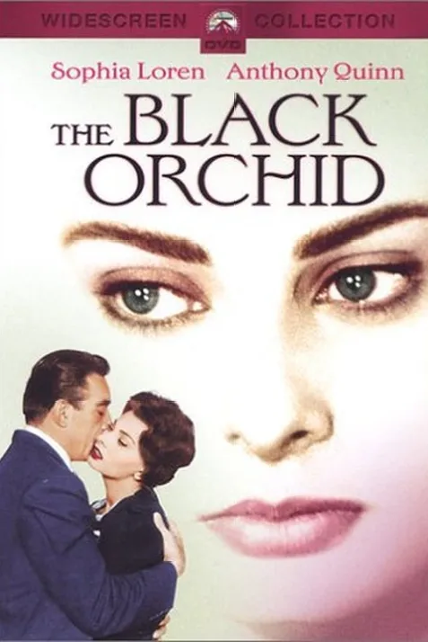 The Black Orchid