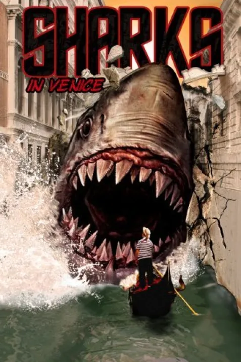 Shark in Venice
