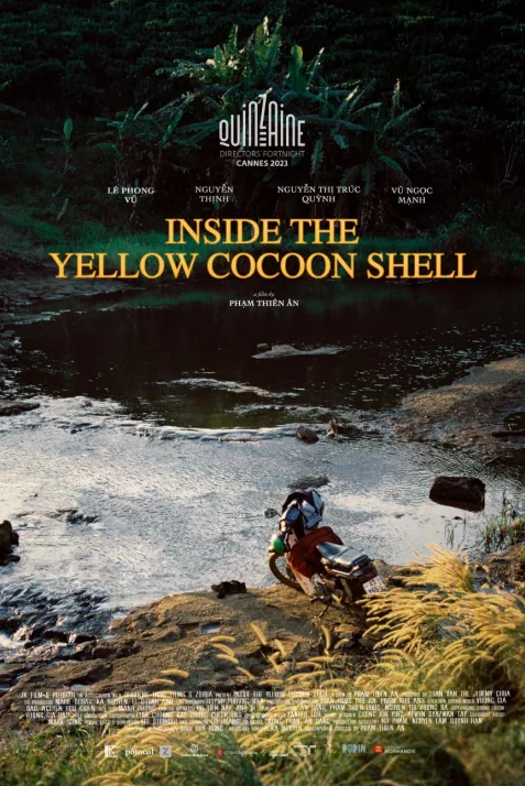 Inside the Yellow Cocoon Shell