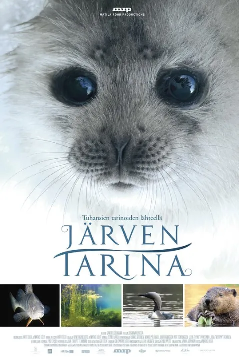 Tale of a Lake