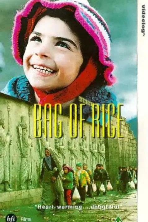 Bag of Rice