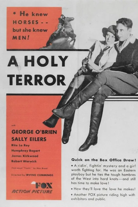 A Holy Terror
