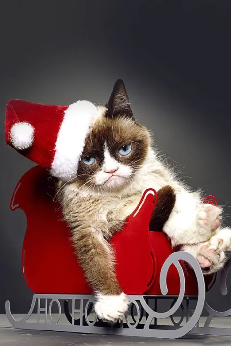 Grumpy Cat's Worst Christmas Ever