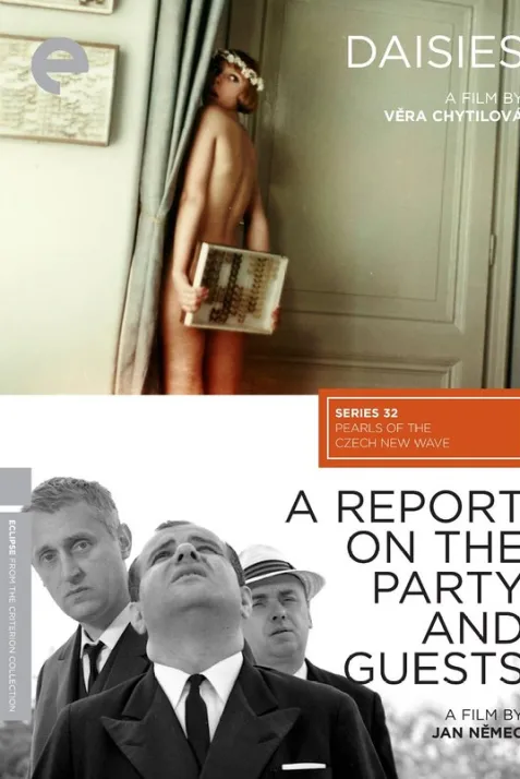 A Report on the Party and Guests