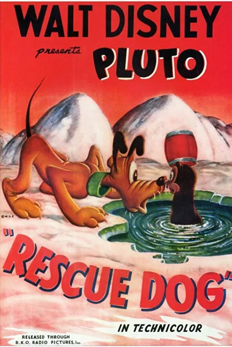 Rescue Dog