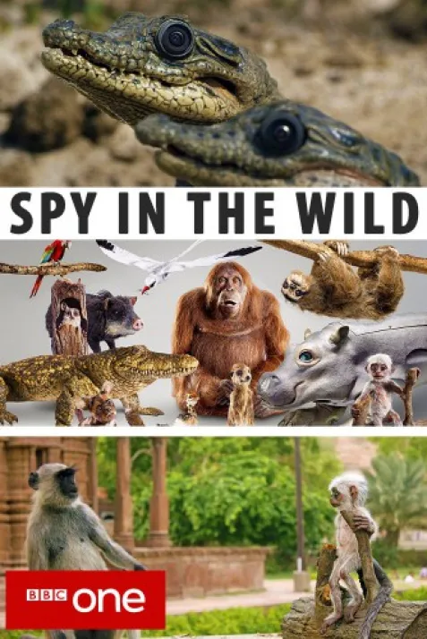 Spy in the Wild