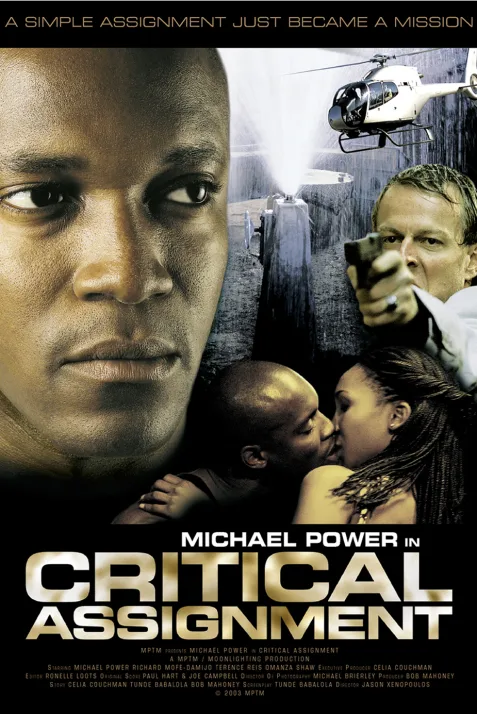Critical Assignment