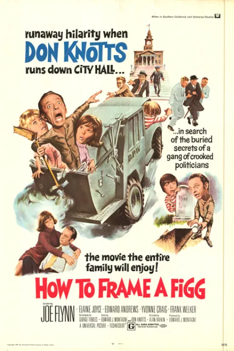 How to Frame a Figg