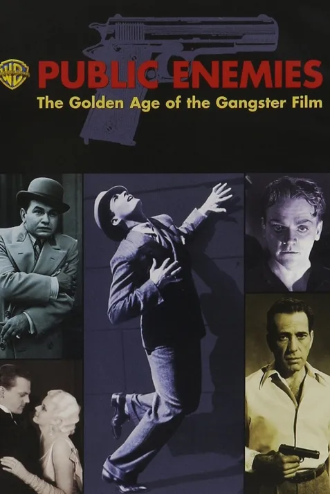 Public Enemies: The Golden Age of the Gangster Film