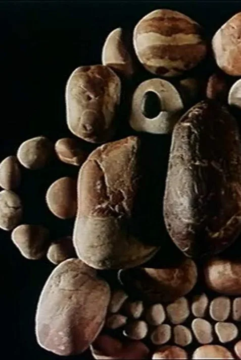 A Game with Stones