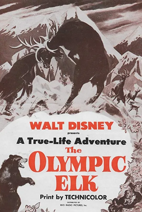 The Olympic Elk