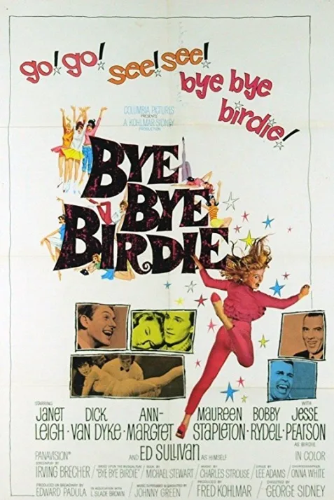 Bye Bye Birdie
