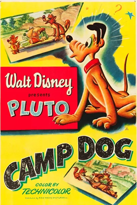 Camp Dog
