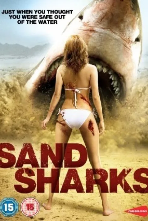 Sand Sharks