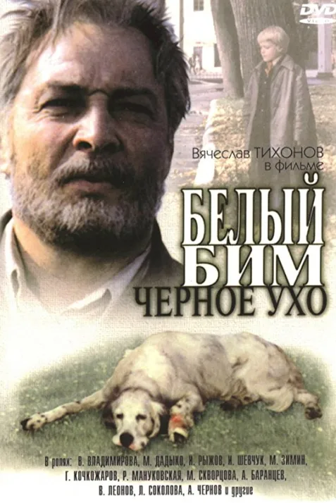 Belyy Bim Chernoe ukho