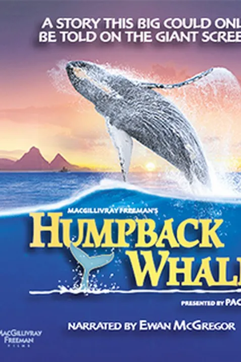 Humpback Whales