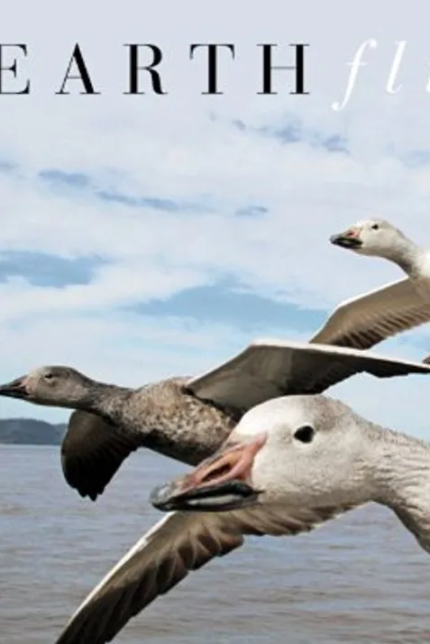 Earthflight