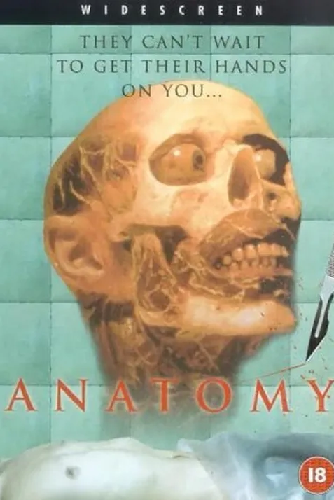 Anatomy