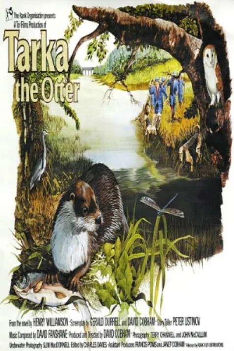 Tarka the Otter
