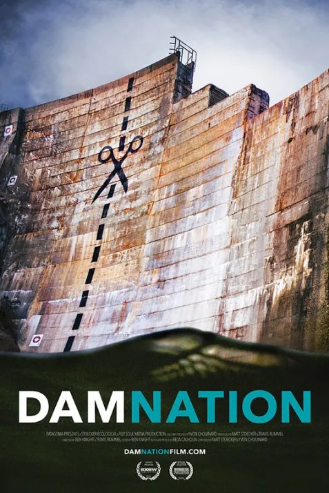 DamNation