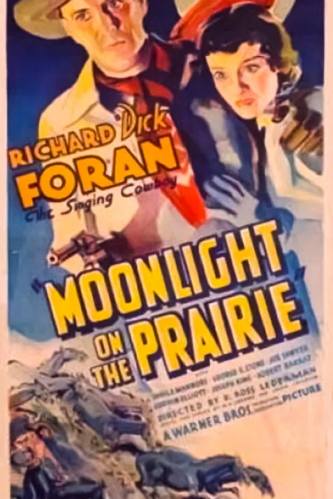Moonlight on the Prairie
