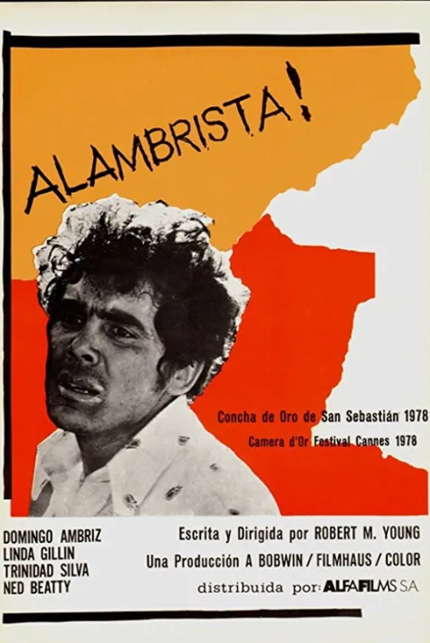 Alambrista!