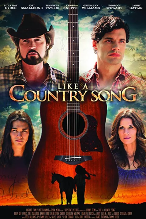 Like a Country Song