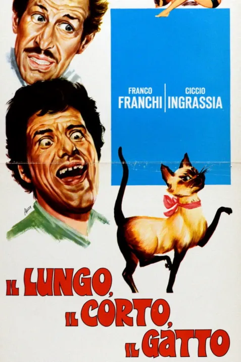 Il lungo, il corto, il gatto