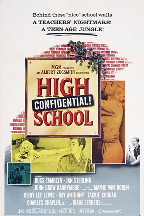 High School Confidential!