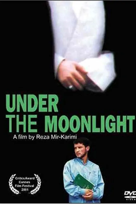 Under the Moonlight