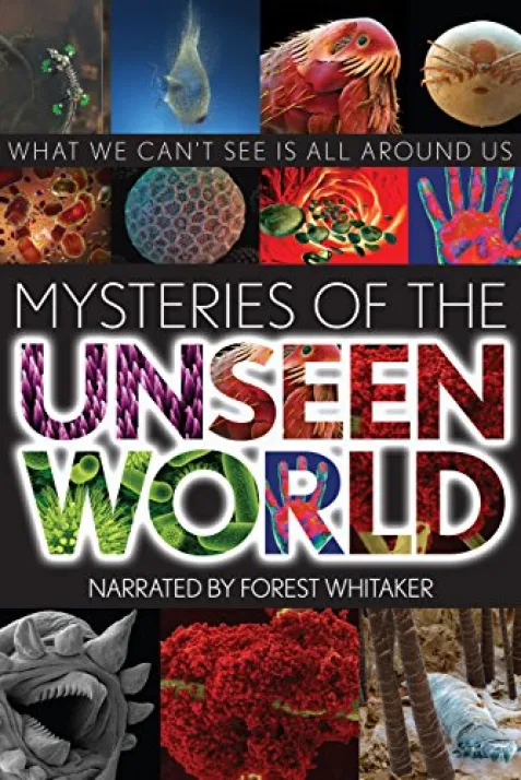 Mysteries of the Unseen World