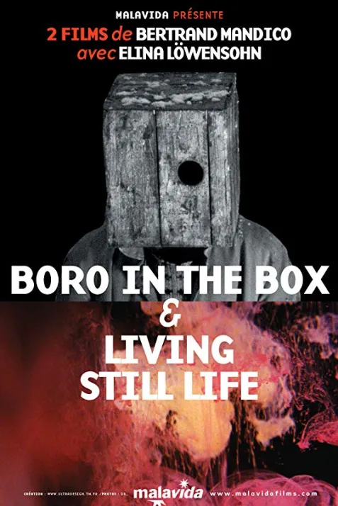 Boro in the Box
