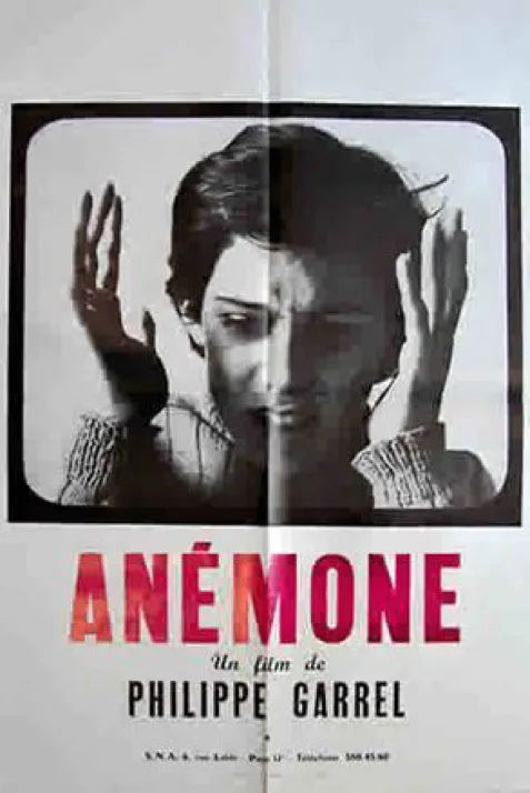 Anémone