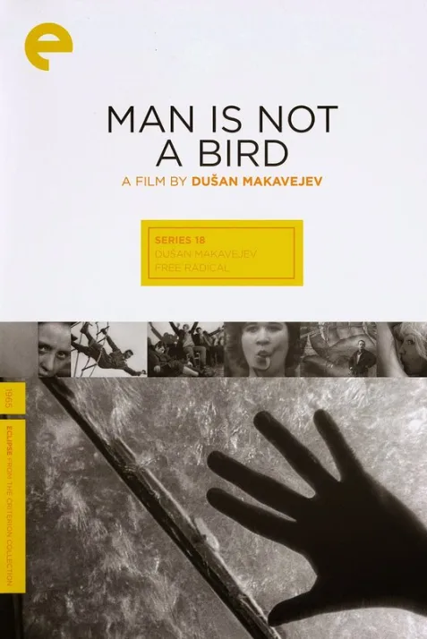 Man Is Not a Bird