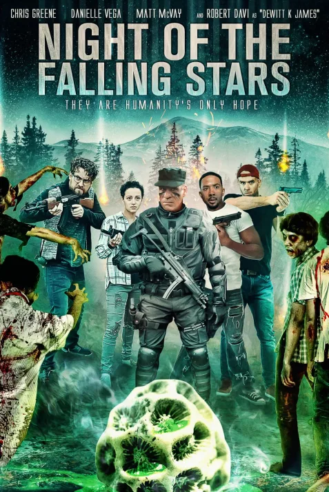 Night of the Falling Stars