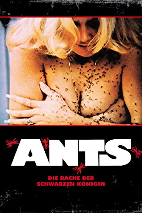 Ants!