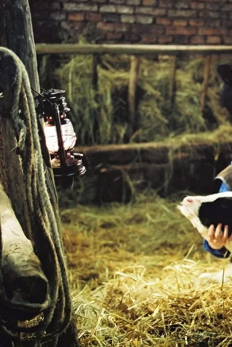 (A)Torzija (Short 2003)