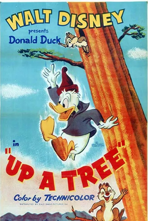 Up a Tree