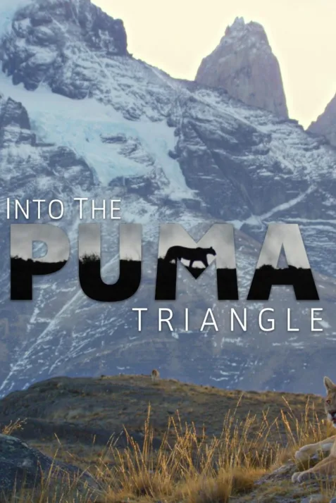 Into the Puma Triangle