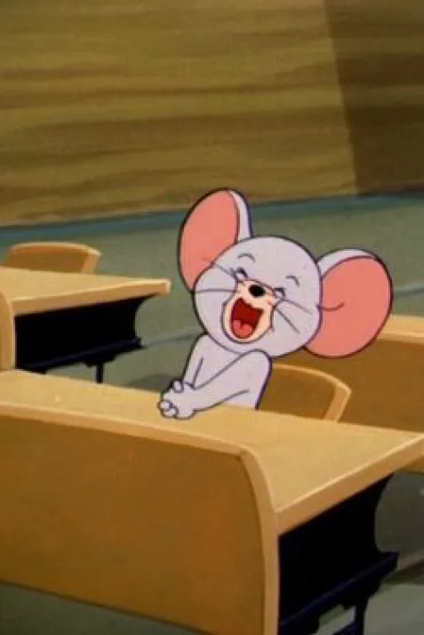 Little School Mouse