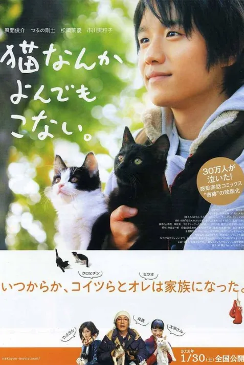 Cats Don't Come When You Call