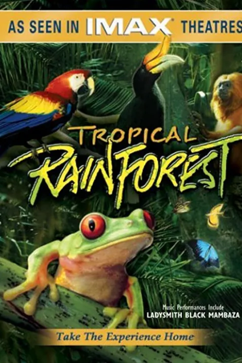 Tropical Rainforest