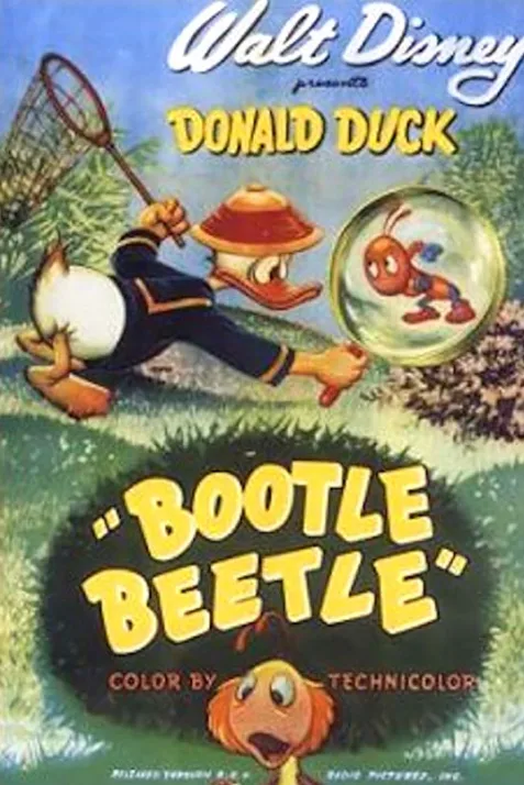 Bootle Beetle
