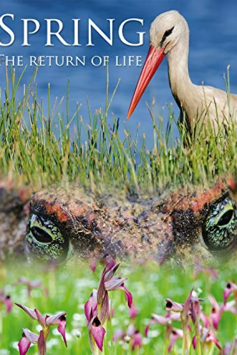 Spring: The Return of Life
